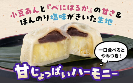 いきなり団子 約100g×30個入 / 和菓子 芋 あんこ スイーツ 郷土菓子 冷凍【粋也庵】[AYCE016]