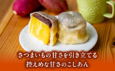 弁天堂 ジャンボ いきなり団子 約150g×5個入り【株式会社弁天堂】[AYDG001]