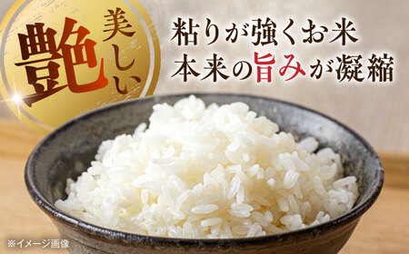 【年内発送は12月21日ご入金分まで！】【令和7年度】 くまさんの輝き 白米 5kg 米[AYDI001]