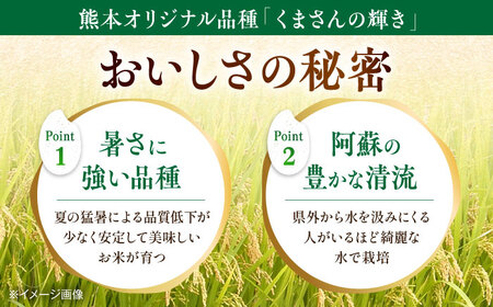 【年内発送は12月21日ご入金分まで！】【令和7年度】 くまさんの輝き 白米 5kg 米[AYDI001]