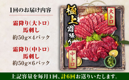 【全6回定期便】国産 霜降り馬刺し2種セット 約500g 馬刺し[AYBP007]
