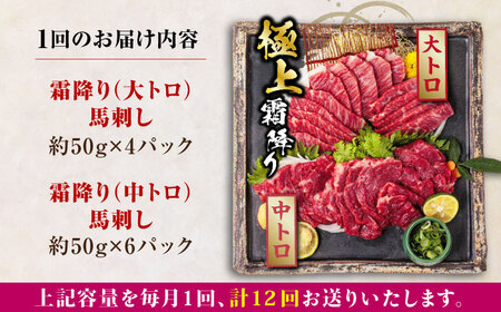 【全12回定期便】国産 霜降り馬刺し2種セット 約500g 馬刺し[AYBP008]