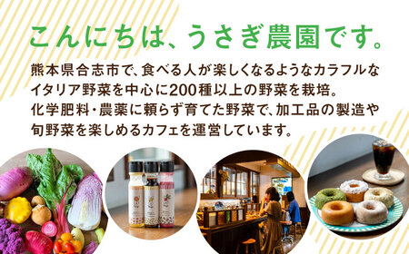 にんぺ にんにくのペースト 3個セット (70g×3個)【うさぎ農園】[AYDJ008]