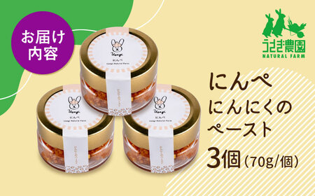 にんぺ にんにくのペースト 3個セット (70g×3個)【うさぎ農園】[AYDJ008]