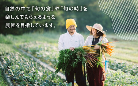 米粉 250g×1袋【うさぎ農園】[AYDJ017]