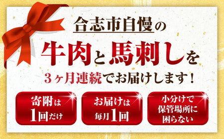 3回定期便 お肉おためし定期便 ステーキ馬刺し黒毛和牛AYZZ001