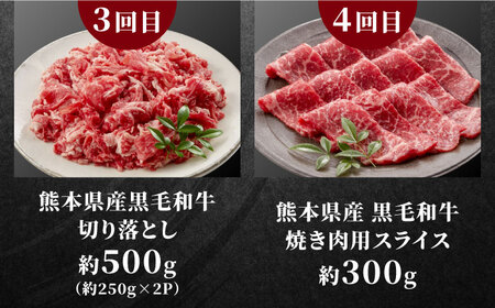 全6回 お肉づくしお楽しみ定期便 ステーキしゃぶしゃぶ馬刺しAYZZ002