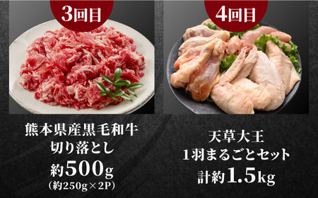 6回定期便 合志市食卓応援定期便 馬刺し天草大王香心ポークAYZZ005