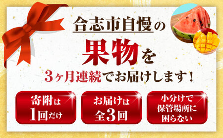 先行予約3回定期便 旬の果物ひとりじめ定期便AYZZ006