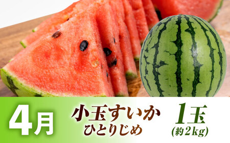 先行予約3回定期便 旬の果物ひとりじめ定期便AYZZ006