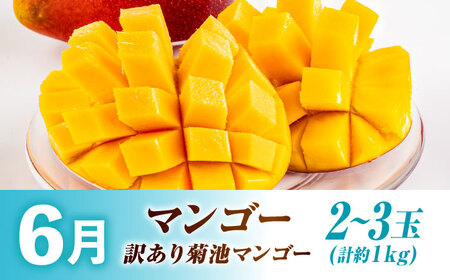 先行予約3回定期便 旬の果物ひとりじめ定期便AYZZ006