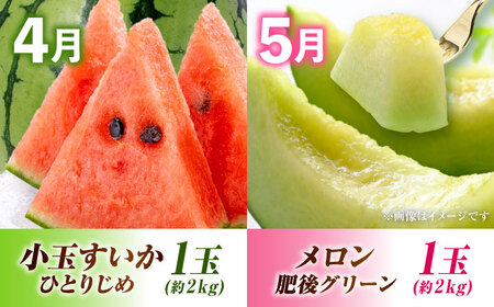 先行予約5回定期便 果物ざんまい定期便 すいかメロンマンゴーAYZZ007