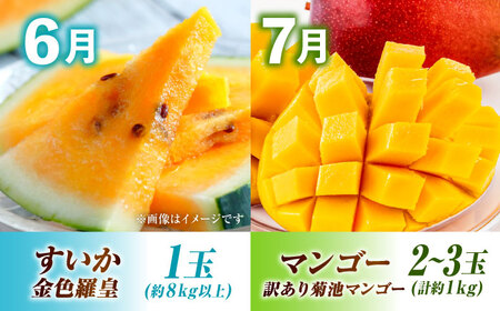 先行予約5回定期便 果物ざんまい定期便 すいかメロンマンゴーAYZZ007