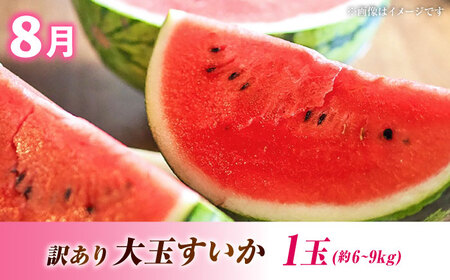 先行予約5回定期便 果物ざんまい定期便 すいかメロンマンゴーAYZZ007