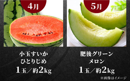 先行予約4回定期便 合志市肉と果物トライアル定期便 果物牛肉馬刺しAYZZ009