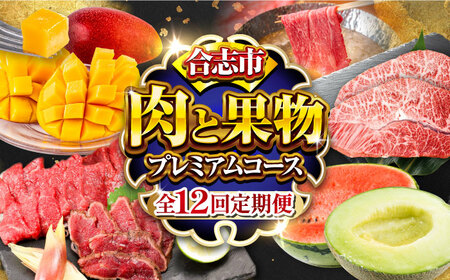 12回定期便 合志市肉と果物定期便プレミアム ステーキ馬刺しすいかAYZZ011