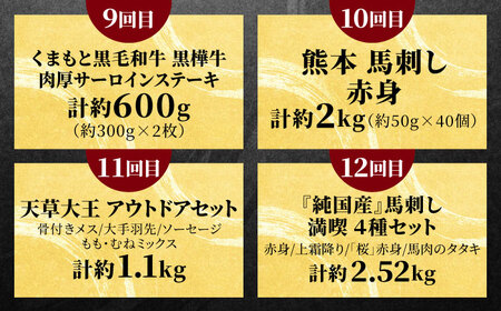 12回定期便 合志市肉の極み定期便 霜降り桜和牛豚ミンチAYZZ012