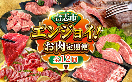 全12回 合志市お肉エンジョイ定期便 あか牛ステーキ赤身馬刺し霜降り馬刺しAYZZ013