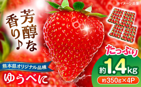 【先行予約】いちご ゆうべに 百花園ファーム 約1.4kg（約350g×4P）20粒/P Lサイズ 【亀井通産 株式会社】[AYBQ084]