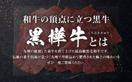 くまもと黒毛和牛  杉本本店 黒樺牛 A4~A5等級 モモステーキ 100g×10 計1kg