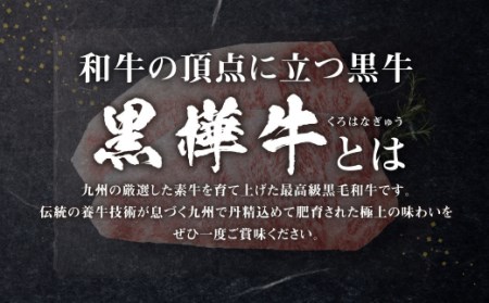 【3回定期便】くまもと黒毛和牛 杉本本店 黒樺牛 A4~A5等級 サーロインステーキ定期便 400g×3回