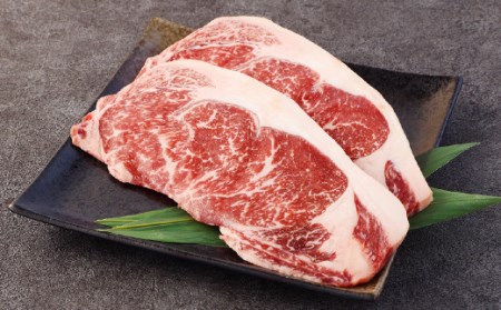 あか牛 サーロイン ステーキ 400g (200g×2枚) 牛肉 熊本県産 赤牛