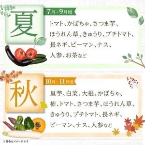 季節の野菜 詰め合わせ「スペシャルコース」_菓子・スイーツ 和菓子    果物・フルーツ 柿（カキ）  かき  野菜 ねぎ  ネギ 葱  野菜 アスパラガス    野菜 さつまいも いも サツマイモ 薩摩芋  野菜  いも イモ 芋  野菜  トマト   野菜 人参 根菜 にんじん ニンジン  野菜 大根 根菜 だいこん ダイコン  野菜 かぼちゃ  カボチャ 南瓜  野菜 茄子  なす ナス  野菜     飲料・ドリンク 茶葉・ティーバッグ 茶   麺  そうめん   惣菜・加工品  漬物 _【配送不可地域：離島】【1469460】