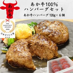 あか牛100%ハンバーグセット(あか牛ハンバーグ120g×6個)(美里町)_肉 ハンバーグ 牛肉 _【配送不可地域：離島】【1542205】