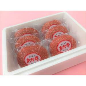 あか牛100%ハンバーグセット(あか牛ハンバーグ120g×6個)(美里町)_肉 ハンバーグ 牛肉 _【配送不可地域：離島】【1542205】