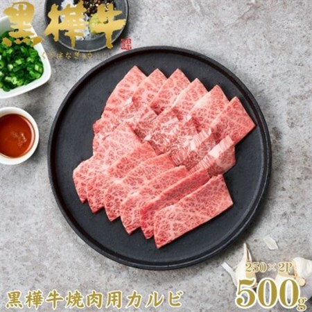 くまもと黒毛和牛 黒樺牛 A4～A5等級 牛肉カルビ 500g 250g×2【杉本本店】(美里町)_肉 焼肉 牛肉 やきにく ヤキニク バーベキュー  肉 黒毛和牛 牛肉 _【配送不可地域：離島】【1617228】
