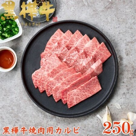 くまもと黒毛和牛 黒樺牛 A4～A5等級 牛肉カルビ 250g×1【杉本本店】(美里町)_肉 焼肉 牛肉 やきにく ヤキニク バーベキュー  肉 黒毛和牛 牛肉 _【配送不可地域：離島】【1617810】