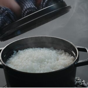 R7年産 新米 熊本県 美里町 ヒノヒカリ にこまる 食べ比べ 精米 10kg(各5kg×2袋)【1620968】