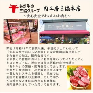【GI認証】くまもとあか牛 赤身モモスライス＆リブローススライスセット(あか牛のたれ付き)(美里町)【配送不可地域：離島】【1629472】