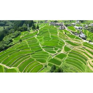 令和7年産　熊本県美里町産　にこまる　5kg【1671213】