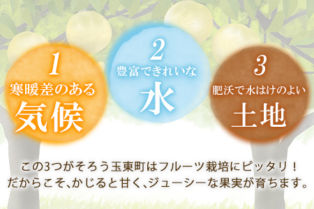 上田果樹園の元祖！玉東梨(旬の品種をお届けします)約3kg(4玉-10玉)  《7月下旬-9月下旬出荷頃》 熊本県玉名郡玉東町 ｜ブランド梨 人気梨 特産品梨 熊本県梨 玉東町梨 大人気返礼品