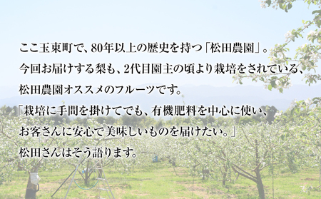 【先行予約】秋 旬 梨 期間限定 【日付指定不可】梨 『松田農園』の くまもと梨 たっぷり 約2kg 5-7玉前後《7月下旬-9月末頃出荷》  予約 受付中 熊本県玉名郡玉東町 松田農園 なし 果物 スイーツ フルーツ デザート スムージー ｜ブランド梨 人気 梨 特産品 梨 熊本県 梨 玉東町梨 大人気返礼品