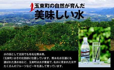 【2ヶ月定期便】強炭酸水4箱（計2回お届け 合計4ケース: 500ml×96本）《申込み翌月から発送》 定期便 あり ★強炭酸水★クリアで爽快な喉越し!くまもと風土の強炭酸水★ストロング炭酸水 定期便あり ハイボールなどお酒の割材にも ソーダ 送料無料 定期便あり熊本炭酸水