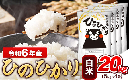 令和6年産白米 ひのひかり 20kg《7-14営業日以内に出荷予定(土日祝除く)》令和6年産 熊本県産｜人気米 熊本県産米 お米 生活応援米