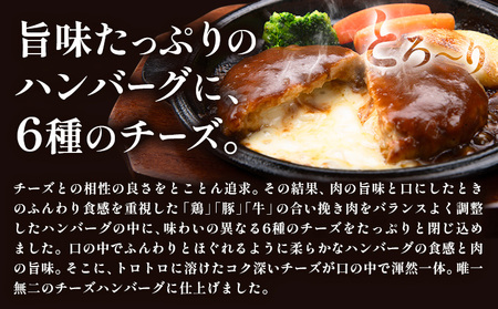 ハンバーグ チーズインハンバーグ 8個 湯せん で 温めるだけ デミグラス 《30日以内に出荷予定(土日祝除く)》 簡単 調理 惣菜 冷凍 牛 湯煎 人気 子供 こども 小分け チーズ ふるさと納税 熊本県 玉東町｜人気ハンバーグ 大人気返礼品 ブランドハンバーグ 玉東町ハンバーグ 特産ハンバーグ 