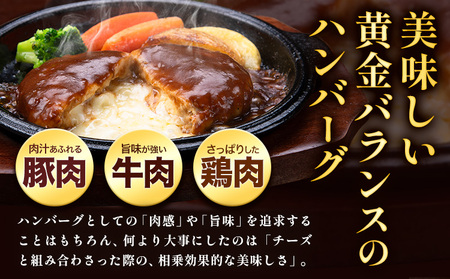 ハンバーグ チーズインハンバーグ 8個 湯せん で 温めるだけ デミグラス 《30日以内に出荷予定(土日祝除く)》 簡単 調理 惣菜 冷凍 牛 湯煎 人気 子供 こども 小分け チーズ ふるさと納税 熊本県 玉東町｜人気ハンバーグ 大人気返礼品 ブランドハンバーグ 玉東町ハンバーグ 特産ハンバーグ 