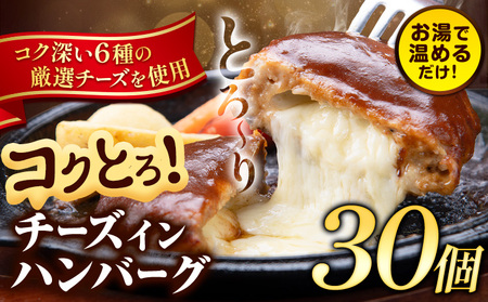 ハンバーグ チーズインハンバーグ 30個 湯せん で 温めるだけ デミグラス 《30日以内に出荷予定(土日祝除く)》 簡単 調理 惣菜 冷凍 牛 湯煎 人気 子供 こども 小分け チーズ ふるさと納税 熊本県 玉東町｜人気ハンバーグ 大人気返礼品 ブランドハンバーグ 玉東町ハンバーグ 特産ハンバーグ 