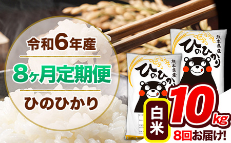 【8ヶ月定期便】令和6年産 定期便 ひのひかり 10kg 《申込み翌月から発送》｜人気米 熊本県産米 お米 生活応援米