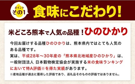 【12ヶ月定期便】 令和7年産 定期便 ひのひかり白米 10kg 《お申込み翌月から出荷》｜人気米 熊本県産米 お米 生活応援米