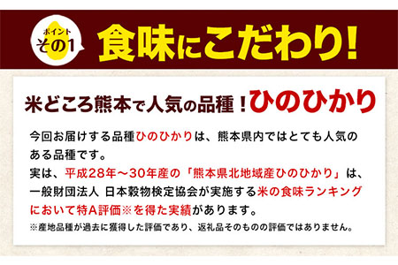 【8ヶ月定期便】令和6年産 定期便 ひのひかり 10kg 《申込み翌月から発送》｜人気米 熊本県産米 お米 生活応援米