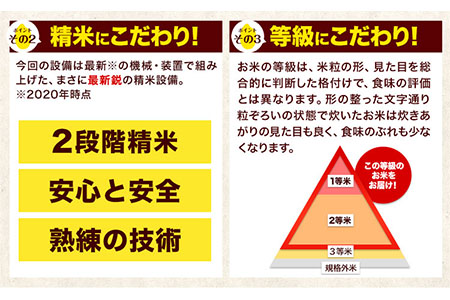 【8ヶ月定期便】令和6年産 定期便 ひのひかり 10kg 《申込み翌月から発送》｜人気米 熊本県産米 お米 生活応援米