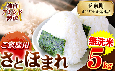 熊本県産 さとほまれ 無洗米 ご家庭用 5kg 《11月-12月より出荷予定》熊本県 玉名郡 玉東町 米 こめ コメ ブレンド米 送料無料