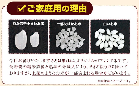 熊本県産 さとほまれ 無洗米 ご家庭用 5kg 《11月-12月より出荷予定》熊本県 玉名郡 玉東町 米 こめ コメ ブレンド米 送料無料