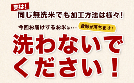 熊本県産 さとほまれ 無洗米 ご家庭用 5kg 《11月-12月より出荷予定》熊本県 玉名郡 玉東町 米 こめ コメ ブレンド米 送料無料