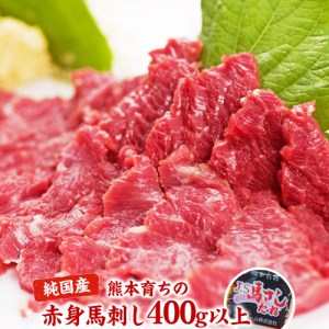 赤身馬刺し400g以上【純国産熊本肥育】 《2月下旬-3月下旬頃より順次出荷》たっぷり400g以上 約120g×3、約50g×1(タレ5ml×8袋)