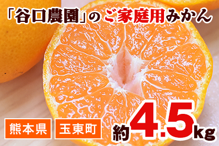 ご家庭用『谷口農園』のみかん★約4.5kg(2S-2Lサイズ) 《10月上旬-1月下旬頃より順次出荷》予約受付中 フルーツ 旬★熊本県玉名郡玉東町 ミネラルたっぷり竹パウダーの土で育つ甘~いみかん♪ちょこっと訳あり